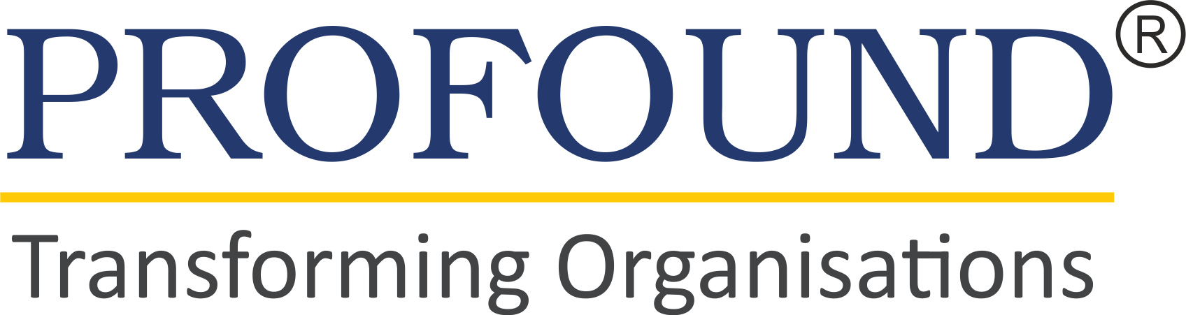 Profound - Transforming Organization;